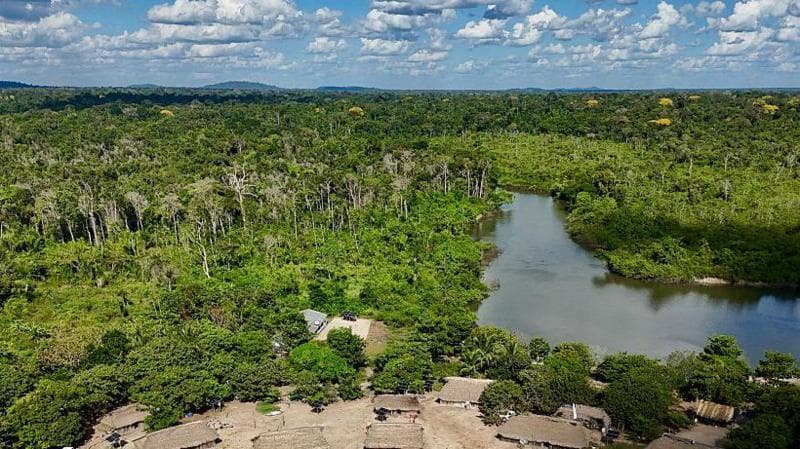 Brazil's Amazon sees sharp decline in size of area burned in 2025
