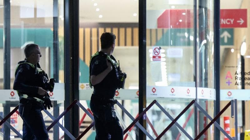 Warning signs over threats to Australian politicians were rising before MP hit by car
