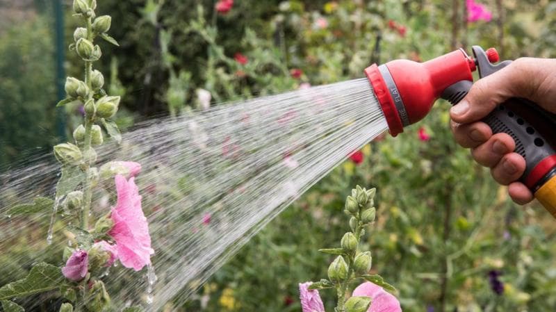 Hosepipe ban in force for millions of households - is your area affected?